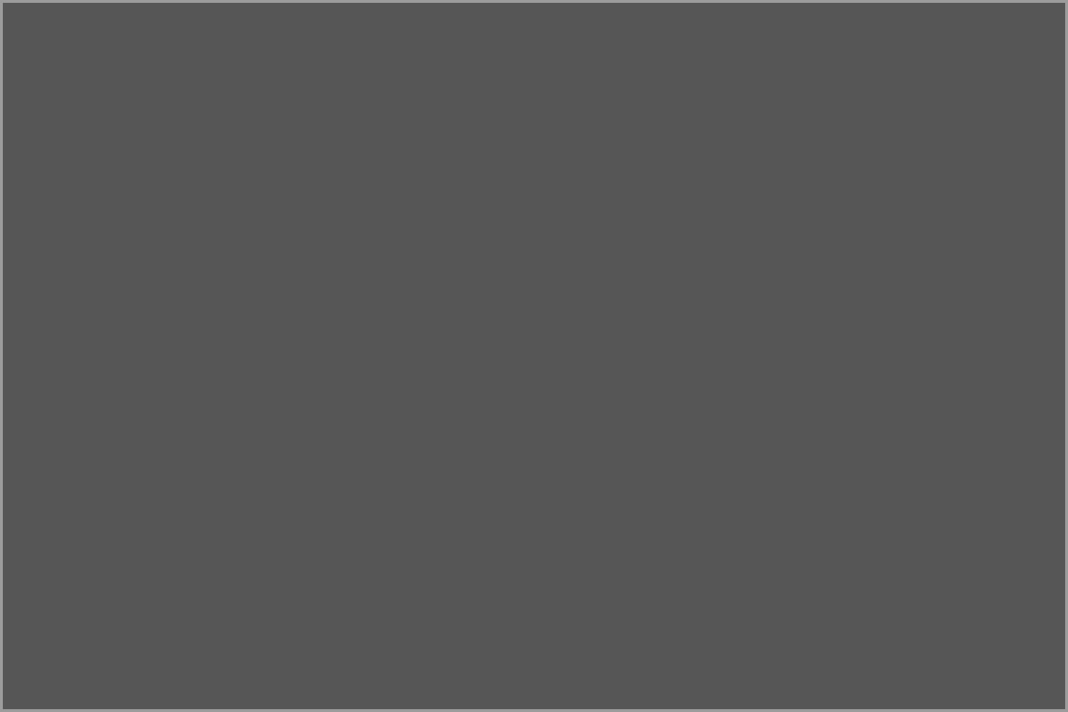 FIG.01 / Caption placeholder
